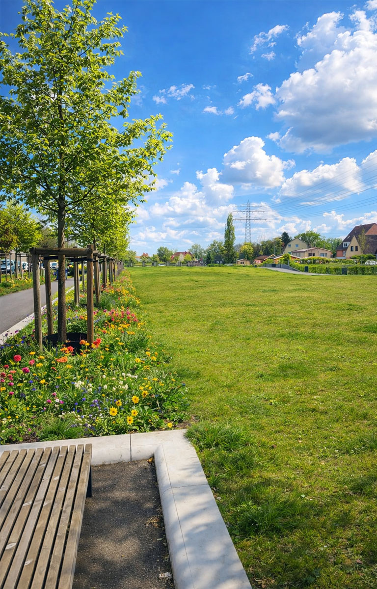 TOILETTENPROJEKT AUF DEM DECKEL